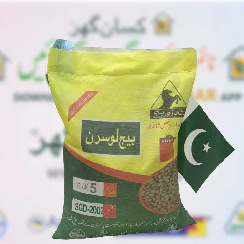 Lucerne 5kg Punjab Seed Corporation Lucern Green Fodder