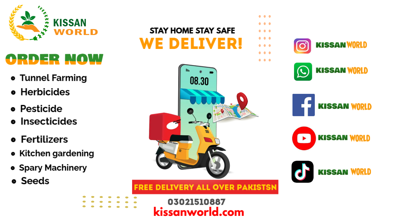 Home delivery service - Made with PosterMyWall (1)