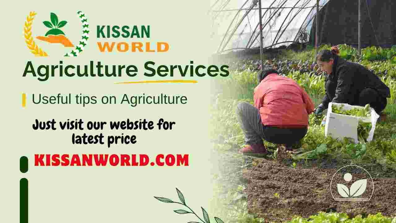compressed-compressed-kissanworld Agriculture services (1)