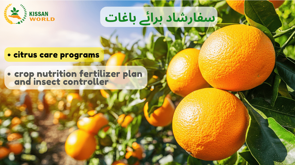 Citrus_care_program_optimized_250