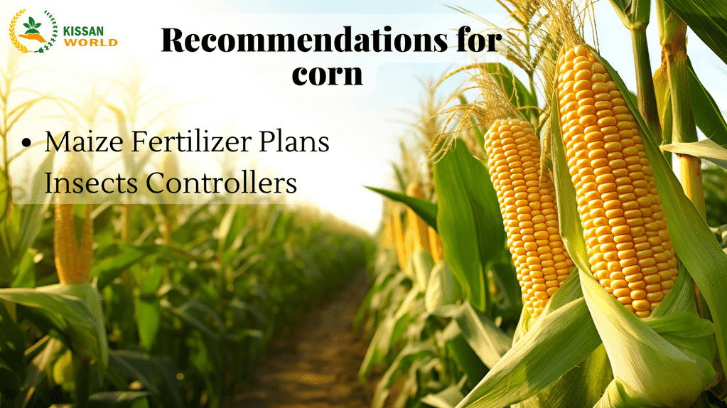 Recommendations_for_corn_1_optimized_250_1_optimized_250